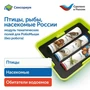 Модуль "Птицы, рыбы, насекомые России" Learning Resources MS0102/4 156215278