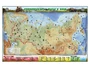 Электронно-информационный (маркерный) стенд "Природа России" Zarnitza 1069614158