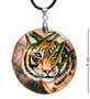 ШК-55/141-A Кулон из перламутра «Тигр» 1945886416