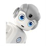 Программируемый гуманоидный робот Ubtech Alpha MINI 1514240863