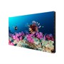 Видеостена 3x2 Eliteboard 135" SK495FCLN 1152423789