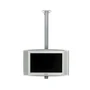 Кронштейн потолочный для 2-х мониторов SMS Flatscreen CM ST1800 A/B для размера 15-37" 1326441102