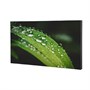 Профессиональная панель Dahua Technology DHI-LS550UDH-UG 2133053612