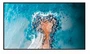 Профессиональная панель Hisense 43DM66D 43" 1279798567