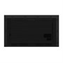 Профессиональная панель Hisense 43DM66D 43" 1279798567
