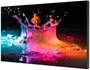 Профессиональная панель Samsung UD55E-P 102830624