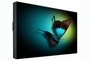 Профессиональная панель Philips 55BDL1007X/00 1507052388