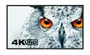 Профессиональная панель NEC MultiSync X841UHD 1059383372