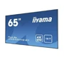 Профессиональная панель Iiyama LE6540UHS-B1 212412702