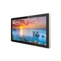 Профессиональная панель Goodview 22" DS display TC22S1 803046491
