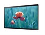 Профессиональная панель Samsung QB24R 593568115