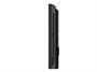 Профессиональная панель Philips 43BDL4511D/00 1736762985