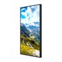Профессиональная панель Hisense 49WF45H 49" 1690849779