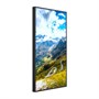 Профессиональная панель Hisense 49WF35M 49" 348803649