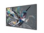 Профессиональная панель Philips 86BDL3511Q/00 940103708