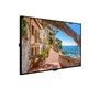 Профессиональная панель Vestel UHM55UH82 55" 1330331855