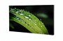 Профессиональная панель Dahua Technology DHI-LS550KDH-UF 1789866169