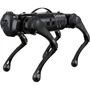 Робот-собака Unitree Quadruped Go1 версии Edu (черный) 1820863751