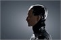 Бионический робот Noetix Robotics Hobbs 219260581