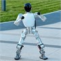 Робот-гуманоид Noetix Robotics Bumi EDU 1808492964