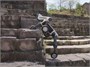 Робот-собака Deep Robotics Lynx M20 PRO + станция автоматической зарядки 547040469