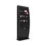 Уличный сенсорный информационный киоск AxeTech Stone 55" Premium 855858935