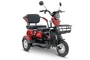 Электротрицикл Rutrike Бумеранг 1909414177