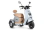 Электротрицикл Rutrike Gelbert Ogma 48V/60V 650Вт 1121529416