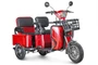 Электротрицикл Rutrike Тубан 423929798
