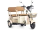 Электротрицикл Rutrike Атлас 746314832