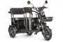 Электротрицикл Wanshida UM+ 60V 1000Вт 200840049