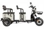 Электротрицикл Wanshida LC300 60V 1000Вт 2004025825