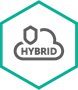 Kaspersky Security для виртуальных и облачных сред (базовая серверная лицензия), Электронная лицензия на 1 год по количеству виртуальных серверов 1542767260