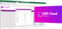 More4apps ERP Cloud Toolbox (лицензия), Starter Pack Includes 2 free seats на 1 год 1864671834