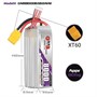 Аккумулятор GNB Lipo 6S 8000mAh 1618359744