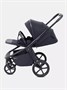Коляска 2 в 1 Rant Flex Soft Therm Midnight black 1634442379