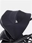 Коляска 2 в 1 Rant Flex Soft Therm Midnight black 1634442379