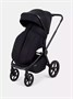 Коляска 2 в 1 Rant Flex Soft Therm Gold black 1162183739