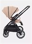 Коляска 2 в 1 Rant Basic Terra Beige 1064970236