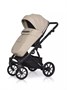 Коляска 2 в 1 Riko Basic Delta Ecco 11 camel 620506963