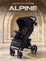 Коляска прогулочная Rant Basic Alpine 2026 Black 1631231554
