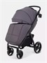 Коляска прогулочная Rant Basic Alpine 2026 Dark grey 1941460111