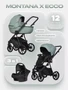 Коляска 3 в 1 Riko Basic Montana X Ecco 21 Green 683064997