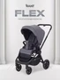 Коляска прогулочная Rant Flex 2025 RA078 Graphite 1384473066