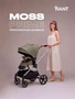 Коляска прогулочная Rant Moss Prime Green 865375978