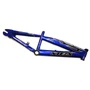 Рама Storm PRO BMX/н670008 1219825080
