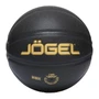 Мяч баскетбольный Jogel Money ball-2026 №7 247000195
