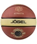 Мяч баскетбольный Jogel Streets DREAM TEAM №7 1860470349
