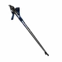 Палки для скандинавской ходьбы STC Extreme Blue стекловолокно 535216374