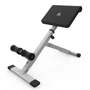 Гиперэкстензия DFC Homegym SJ1006W белый 969826492